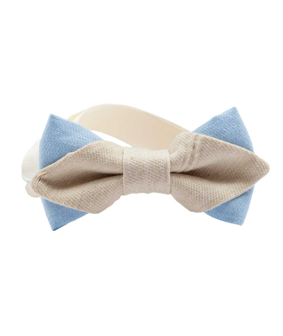 Papillon neonato