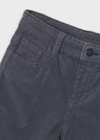 Pant.panno basic