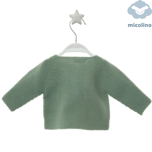 Retro del golfino neonato Micolino
