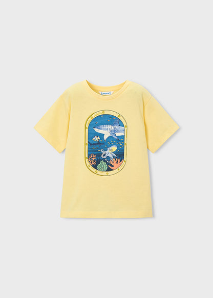 T-shirt s/s window
