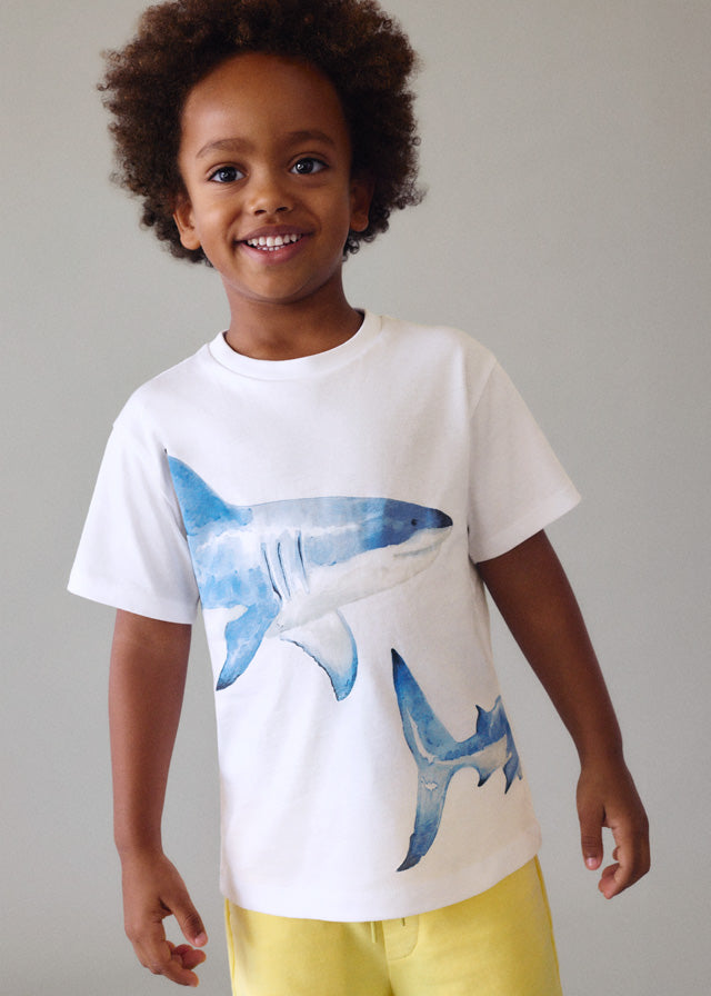Short-sleeved T-shirt positioned