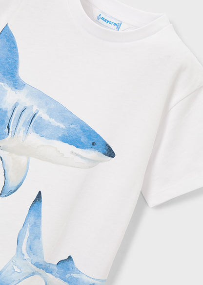 Short-sleeved T-shirt positioned